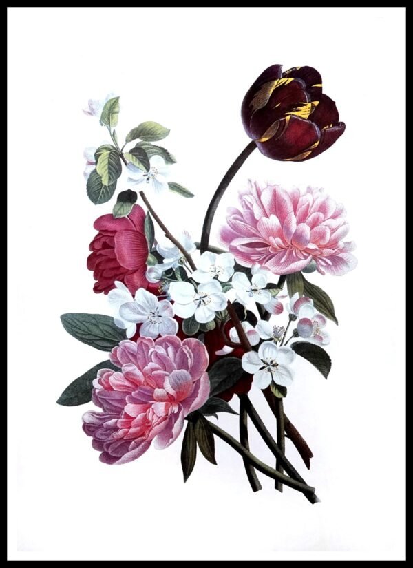 ALP F13031 Prevost Bougnets (Antique Prints)